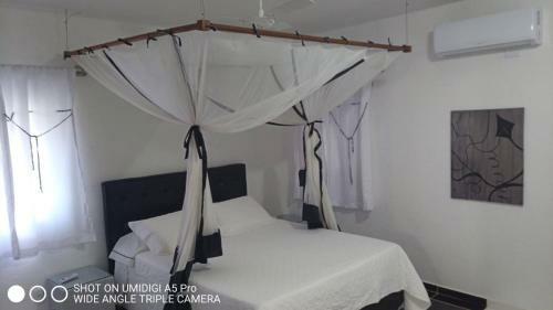 Casas Maria Jos�.arraial
