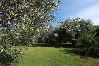 Hotel Valle Di Mare Resort