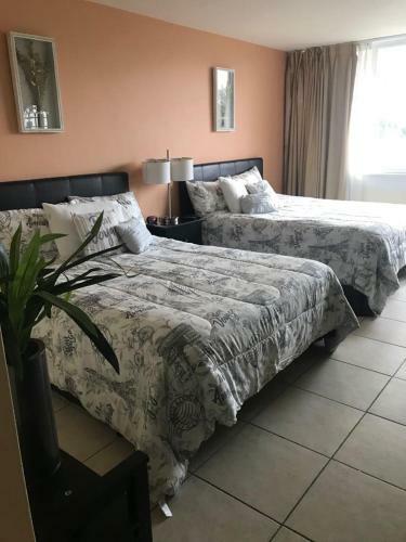 Apartamento Rq Miami Beach-florida