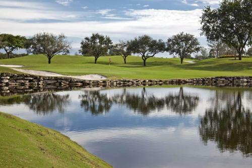 Saddlebrook Resort Lakeside Luxury