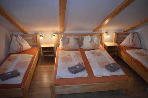 Hostal Penzion U Jelena