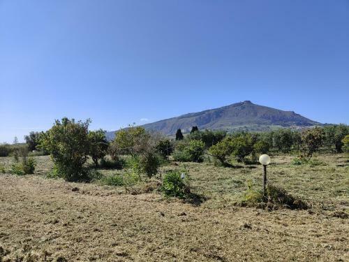 Casa Sicilia Occidentale