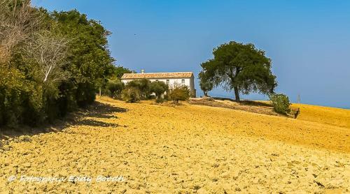 Apartamento Casa Caminate - La Quercia