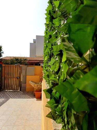 Dream House Fiumicino