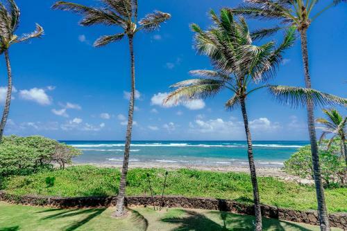 Apartamento Turtle Bay Villas 216