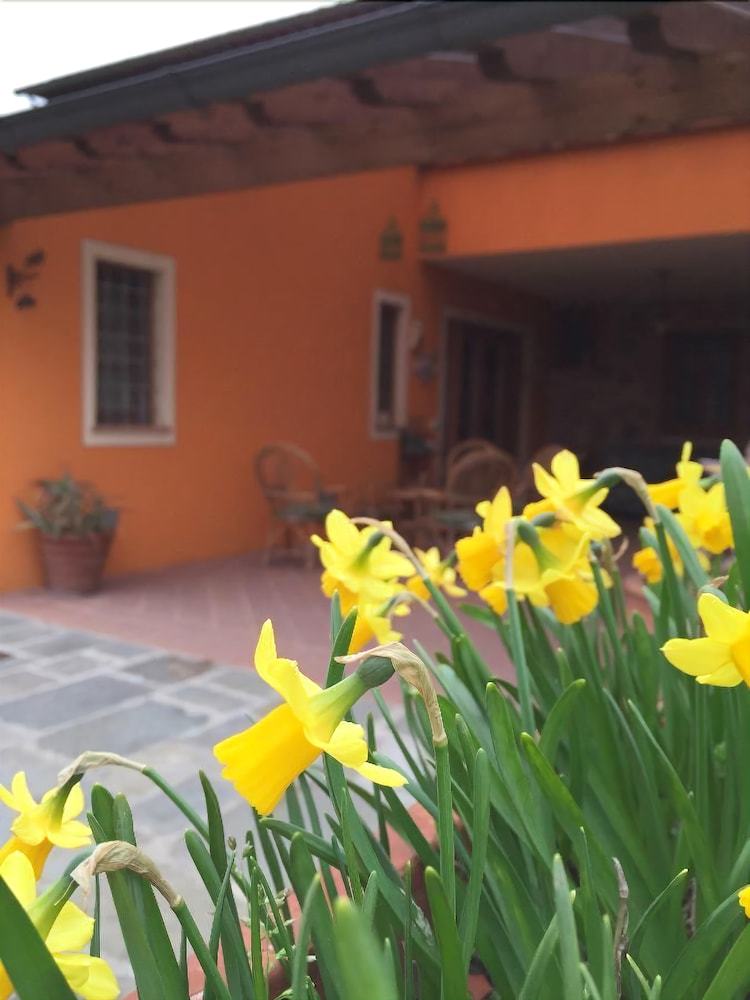 Bed & Breakfast Corte Capitani