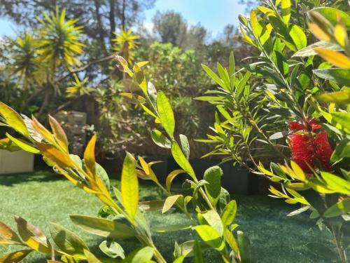 Apartamento Jardin Priv� Ds Le Centre de Cassis - Parking - Plage � 500m