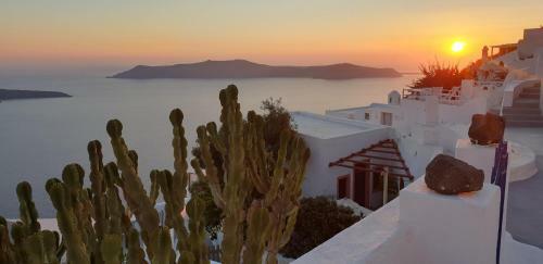 Cactus Cave House On The Caldera