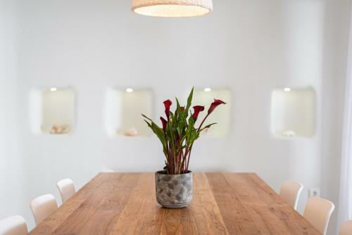 Apartamento El Sueno Villa Mykonos