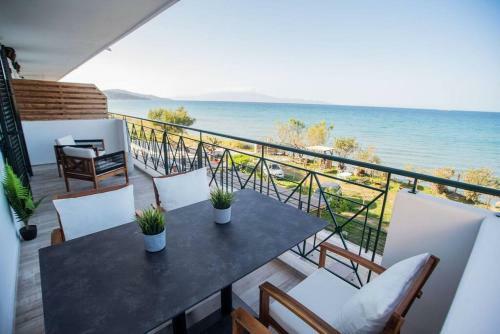 Apartamento Yolo Resort - Notte