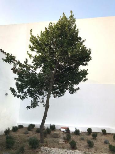 Casa Do Loureiro