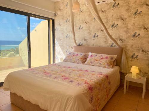 Casa Das Pedras Pretas