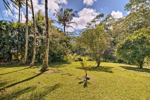 Sunny Pahoa Retreat Snorkel, Hike And Shop!