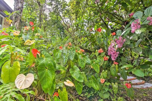Idyllic Pahoa Paradise Hike, Swim And Explore!