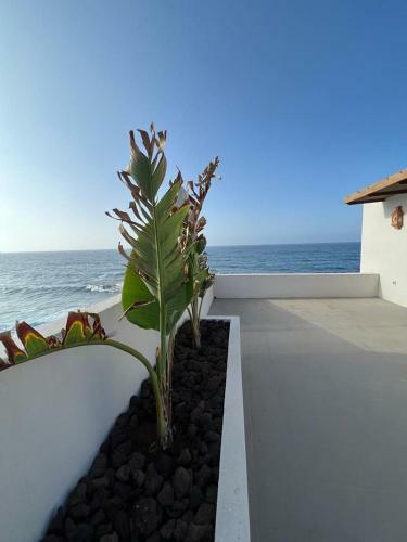 Casa L�a