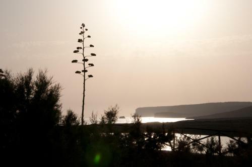 Calamadonna Club Hotel Resort