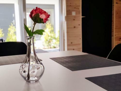 Domki Apartamentowe Dalia