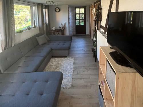 Snug Holiday Home In Harzgerode With Private Heatable Pool