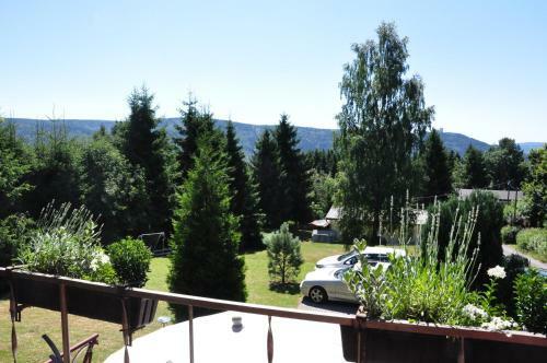 Finnh�tte Im Herzen Des Th�ringer Wald/ Haus Alwin