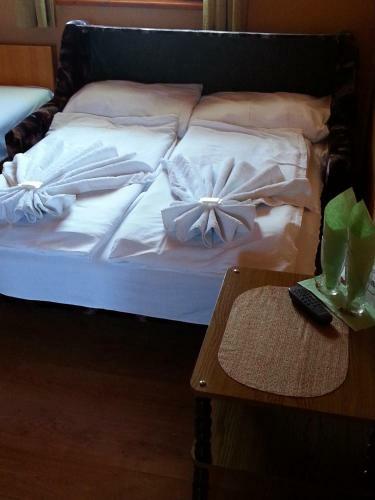 Hostal Viktoria Panzi�