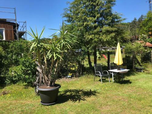 Apartamento Ferienwohnung Braun