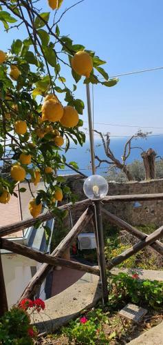 Villa Tessa's Holiday