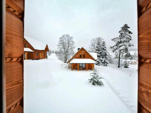 Villa Bieszczadzkie Dworki Ropienka Dolna