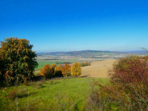 Apartamento Ferienhaus Rh�ner Auszeit