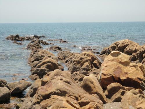 Apartamento Residencial Duquesa 2075