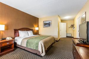 Hotel Comfort Inn