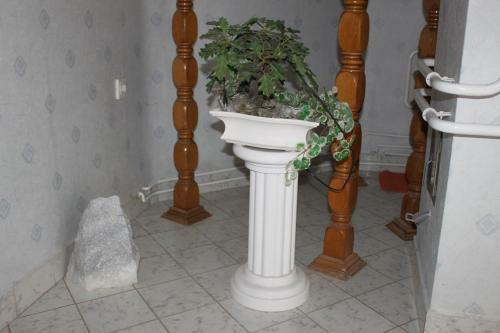 Orwa Vend�gh�z