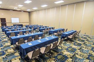 Best Western Plus Fort Worth South Hotel