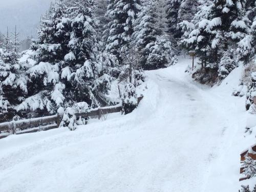 Chalet Steiermark
