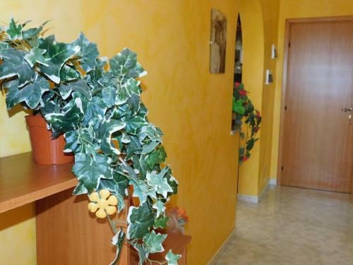 Apartamento Delicious House
