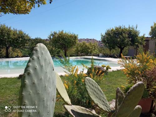 Casa Vacanze Il Primo Fiore