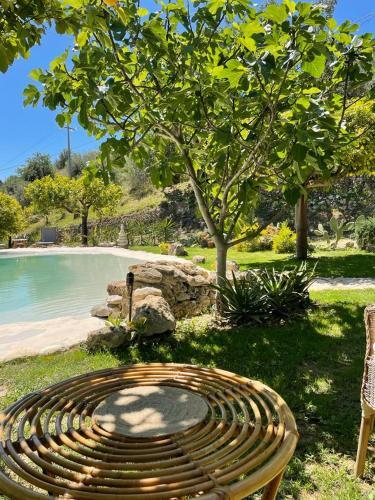 Casa Vacanze Il Primo Fiore