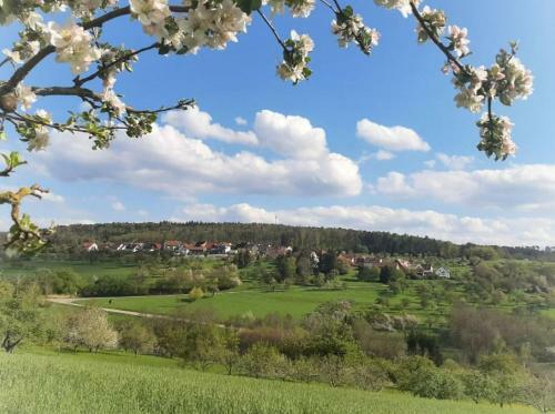 Apartamento Ferienwohnung Berglen-domizil