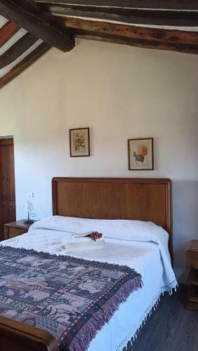Il Glicine Rustico Garfagnino