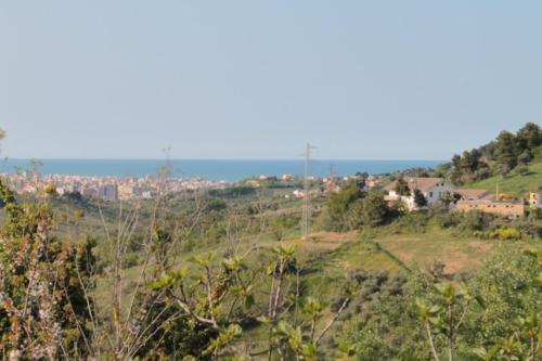 B&B Azzurra
