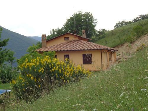 Il Vigneto