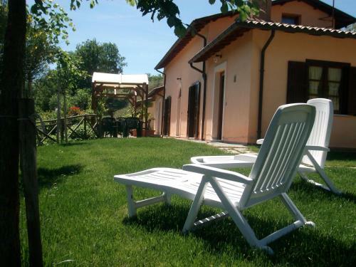 Il Vigneto