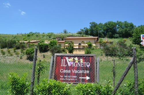 Il Vigneto