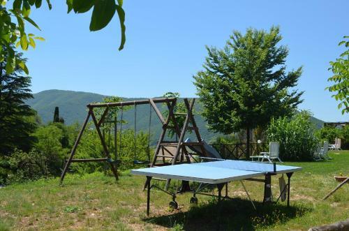 Il Vigneto