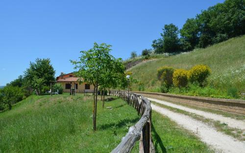 Il Vigneto