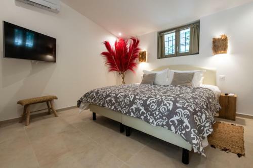 Grimaou - Villa Proven�ale Avec Piscine