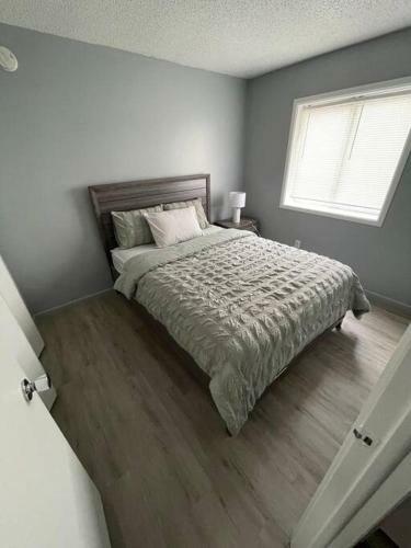 Affordable One Bedroom Apartment (13) Sleeps 4
