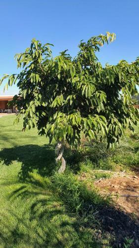 Lodge Finca La Suerte Grande