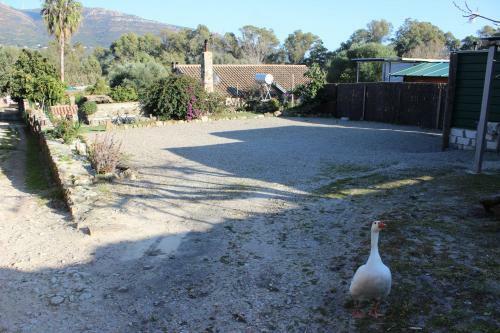 Chalet Rural-familiar Con Piscina Junto A La Playa