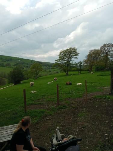 Shepherd Hut Set In The Peak District Buxton Derbyshire