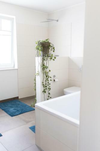 Apartamento Sch�ne, Ger�umige, Sonnige Wohnung Old Innenstadt